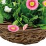 Unpeeled willow basket