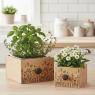 Pine wood floral containers