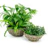 Grey pulut rattan baskets