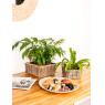 Pulut rattan baskets