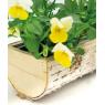 Birch wood basket