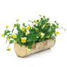 Birch wood basket