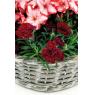 Wicker basket
