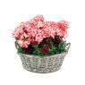 Wicker basket