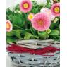 Half willow and wood basket