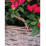 Stained half willow round basket