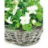 Wicker basket