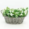Wicker basket