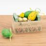 Natural paulownia basket