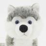 Polyester Husky soft toy