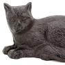 Cat in cast iron