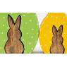 Stained mango rabbits