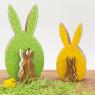 Stained mango rabbits