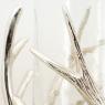 Glass candle holder with aluminium deer antlers