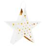 White lacquered metal star lantern