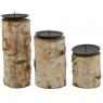 Birch wood and metal candle holders