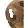 Teak ball