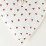 Set of 2 hanging hearts 