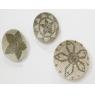 Set of 3 natural seagrass wall decor 