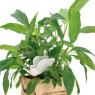 Decorative floral pick