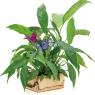 6 butterfly decorative floral picks 