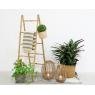 Natural bamboo folding ladder