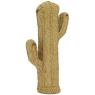 Alfa cactus