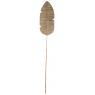 Palmes en bambou naturel