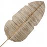 Natural bamboo leaves