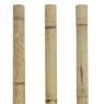 Bamboo poles