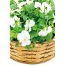 Bamboo fruit and flower basket