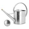Zinc watering can