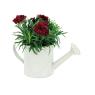 Lacquered embossed metal watering can