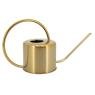 Watering can in golden metal