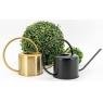 Watering can in golden metal