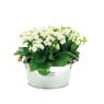 Corbeille en zinc anses en bois