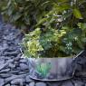 Galvanized metal basket with cactus design