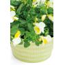 Round lacquered metal basket