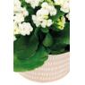 Round lacquered metal basket