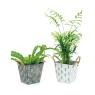 White patinated metal basket Cactus