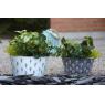 Patinated metal basket Cactus