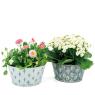 Patinated metal basket Cactus