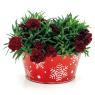 Round lacquered metal basket Snowflakes