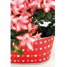 Metal ovale floral containers - Hearts
