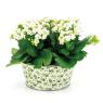 Metal basket with Olives design
