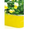 Lacquered metal ovale basket
