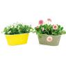 Lacquered metal ovale basket