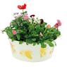 Metal plant pot