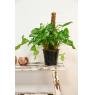 Zinc pot cover