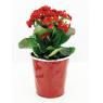 Red lacquered metal floral pot cover